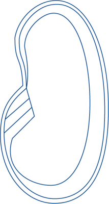 ELLIPTIC 670
Longueur : 6,40 m
Largeur : 3,40 m
Profondeur : 1,25 - 1,65 m